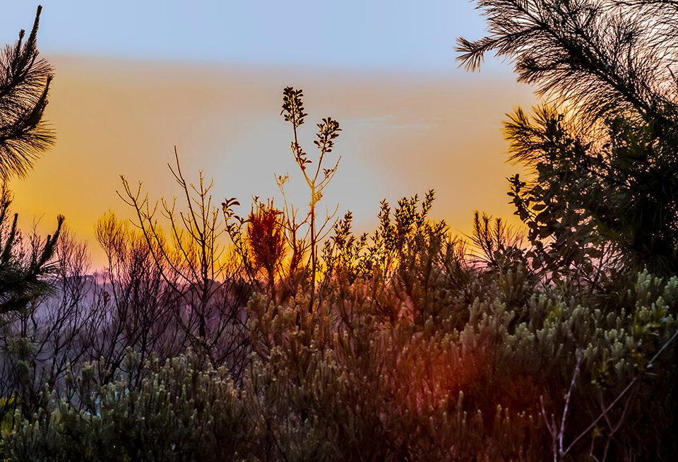 cores e luzes da natureza