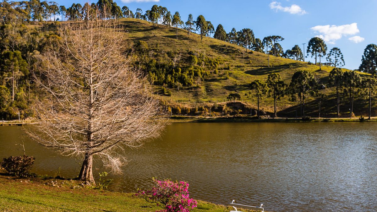 caminho rural fine art