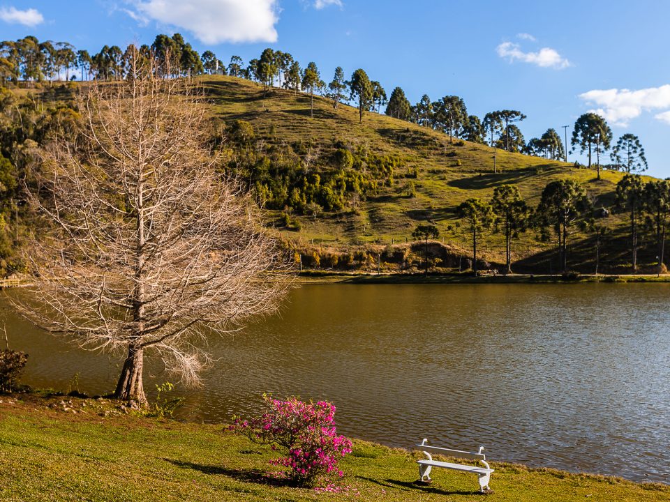 caminho rural fine art